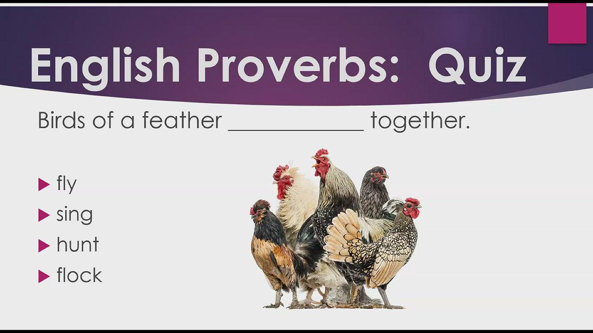 'Video thumbnail for Proverb:  Birds of a Feather'