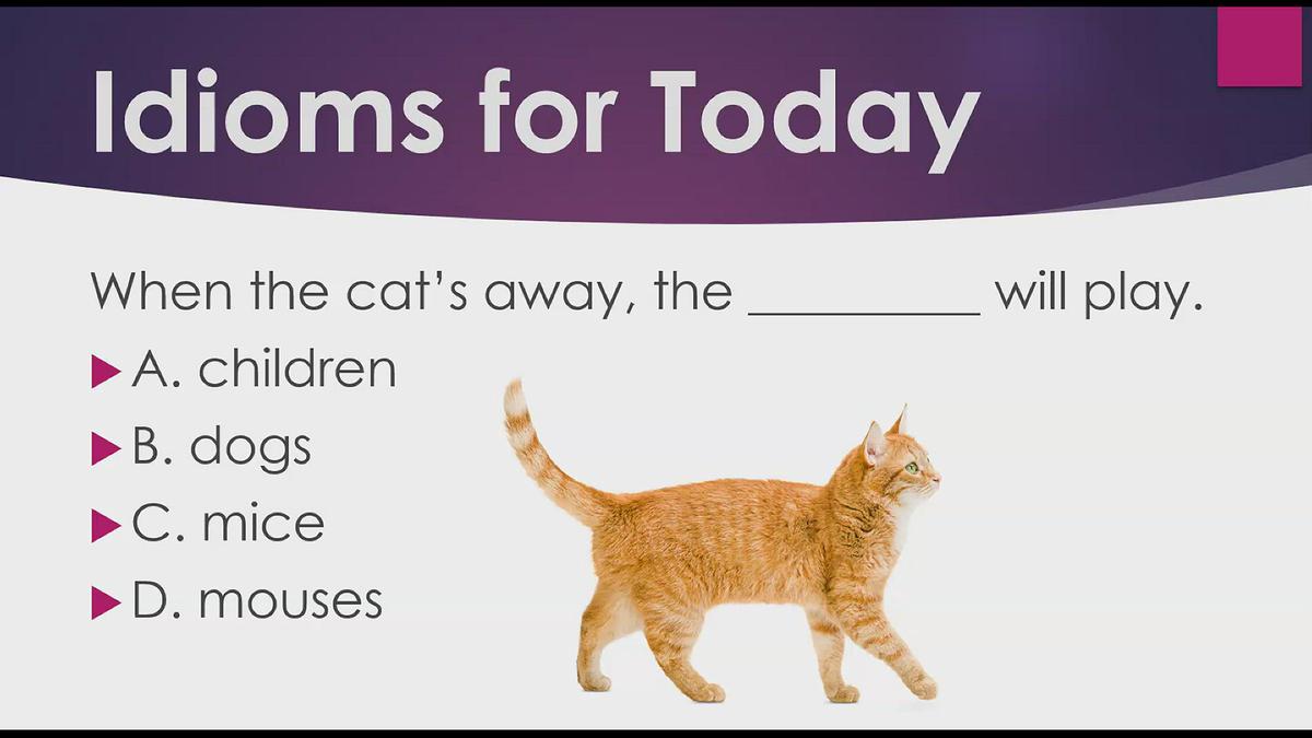 'Video thumbnail for Idioms for Today:  When the Cat's Away'