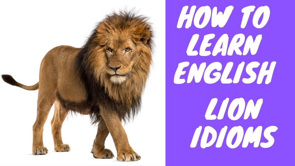 'Video thumbnail for How to Learn English:  Topic, Idiom of the Day:  Lions'